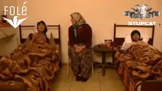 Stupcat (Pa pengesa)