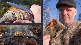 Making Traditional Nordic Fungus Tinder - Campfire Cooking - The Old North