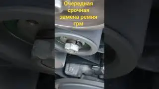 3 сентября 2023 г.