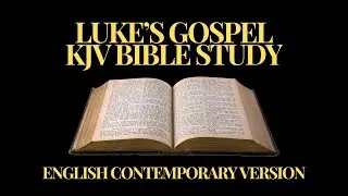 Bible Study For Beginners | Luke's Gospel (Part 23)
