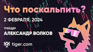 Что поскальпить? Обзор криптовалют  с Александром Волковым | 02.02.2024 - Tiger.com