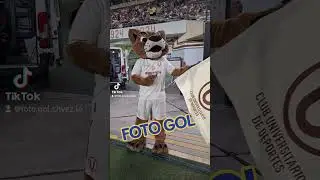 GARRITA