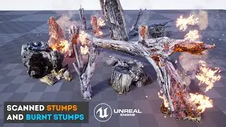 SCANNED STUMPS. REVIEW FOR UNREAL MARKETPLACE