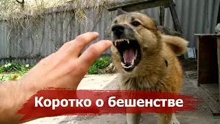 Rabies - a Death sentence or How the Vaccine gave a Chance to Life | How Vaccines Changed the World 