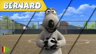 🐻‍❄️ BERNARD  | Collection 53 | Full Episodes | VIDEOS and CARTOONS FOR KIDS
