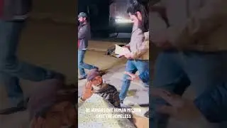 Ahsan shah ♥️ #islamiccelebration #automobile #petrolkronay #islamicfigure #ahsanshah #love