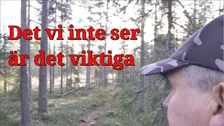 Kan man lita på alternativmedia? Plus älgkontakt