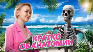 Анатомия простыми словами | Летняя биология в Умскул