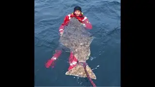 177cm Halibut for our guide Alex! | ENG SUBS