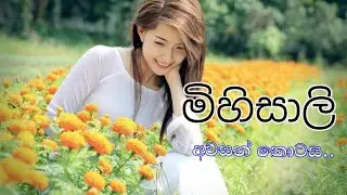 මිහිසාලි අවසන් කොටස#pradeeeverything#sinhala#2023.#sinhalanovels
