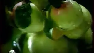 Конец эфира(НТВ,30.09.2003)