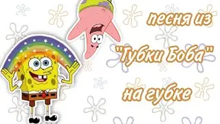 Губка Боб на губке|Коваленко трунь нарезки