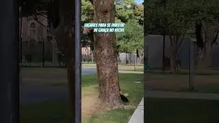 Recife Parque da Tamarineira Lugares para Desbravar