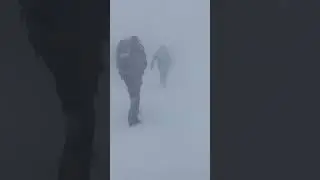 Unbelievable Wind and Whiteout Conditions at Palisades Tahoe #shorts