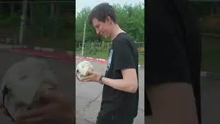 Краш-тест Nylon-like и Demo Bone #shorts