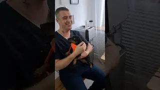 ASMR Гав 👣