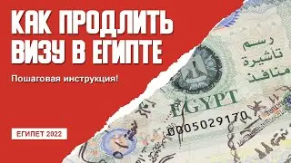 Как продлить визу в Египте? Пошаговая инструкция! 🇪🇬 Египет 2022