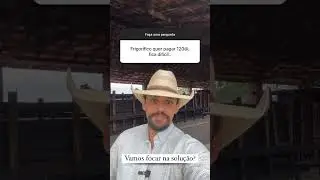 Compreendendo o Padrão de Pagamento do Frigorífico na Pecuária. #pecuaria #dicas #boi #fazenda