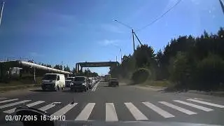 Утки переходят дорогу в Сосновом Бору