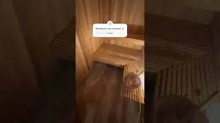 Indoor basement sauna  #sauna #indoorsauna #saunahealth #longevity