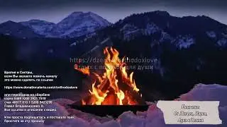 Четыре Евангелия на сон грядущий