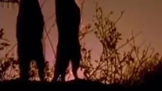 володя