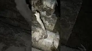 Из чего разжигать костер "колодец"