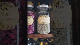 My top 5 herbs for beginner witches!