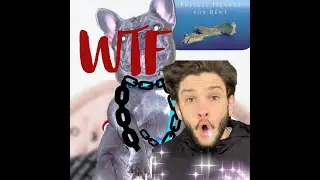 Belenciaga Ad Campaign Abridged Version