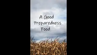 How to Grow Field Corn in Your Home Vegetable Garden
