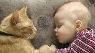 Дети и коты 3