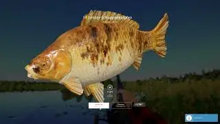 Amber Lake new config | Russian Fishing 4 rf4 spot