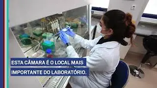 Laboratório de Biotecnologia Celular