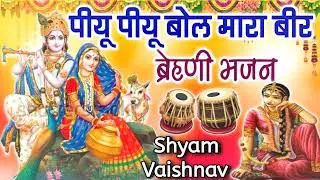 पीयू पीयू बोल मारा बीर | rajasthani bhajan | ब्रेहणी भजन | Shyam Vaishnav