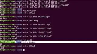 M02T3.1 - Intro to Linux - Bash Variables