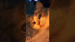 Dès que la boîte s’ouvre, elle reste sous le choc ! 😱