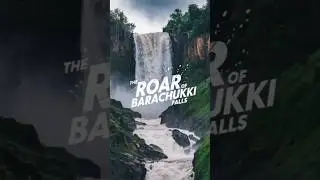 The Roar of Barachukki Falls: A Natural Wonder at Shivanasamudra