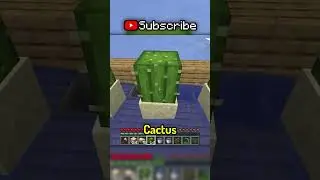 The BEST way to level up in Minecraft