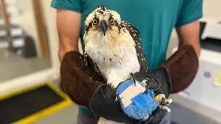 Patient Update 9-13-24