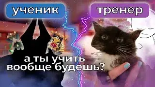как я тренировала дотеров с 