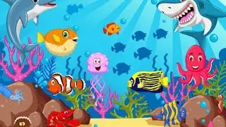 Easy Marine Animals Drawing