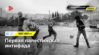 Первая палестинская интифада, 1987-1991 гг | История Израиля с Давидом Вайнштейном