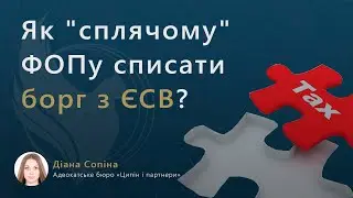 Як "сплячому" ФОПу списати борг з ЄСВ?