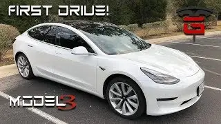 Model 3 First Drive