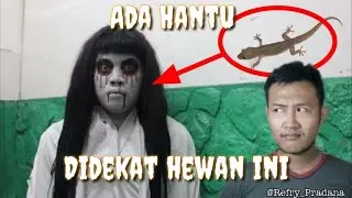 Hewan Penanda Datangnya Hantu | #REFRY 12