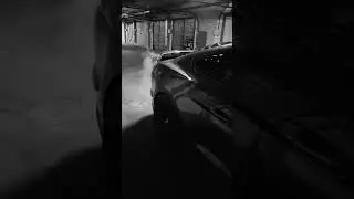 Mustang GT серый волк