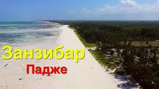 Занзибар. Падже