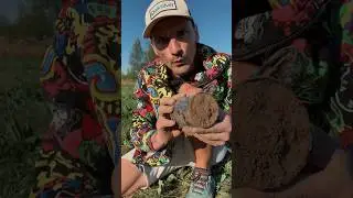 Раскопки / что это? / Телега astapenkoya