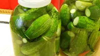 Засолка огурцов в банках на зиму