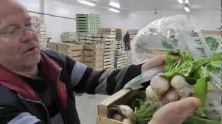 Le marché bio de la Pesée - 2ème partie : au marché d'intérêt national